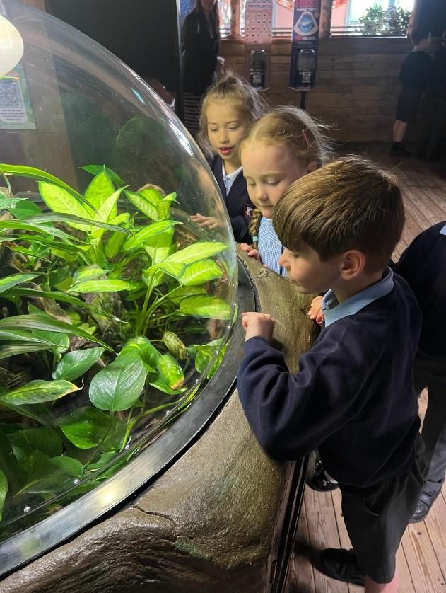 Year 2 have had a fantastic visit to Blue Planet